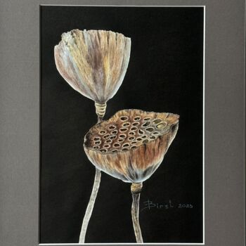 绘画 标题为“Dry lotuses on black” 由Julia Birst, 原创艺术品, 水彩