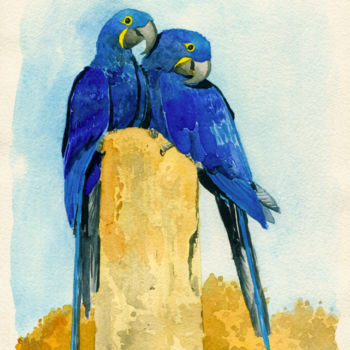 Painting titled "Arara azul grande (…" by Julien Cachemaille, Original Artwork, Watercolor