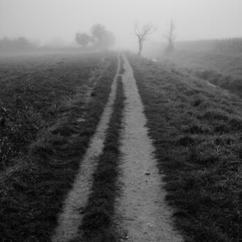 Fotografía titulada "Path" por Jure Kralj, Obra de arte original, Fotografía digital