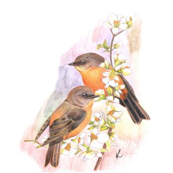 Dibujo titulada "Birds on Valentine'…" por Kalli Horn, Obra de arte original, Lápiz