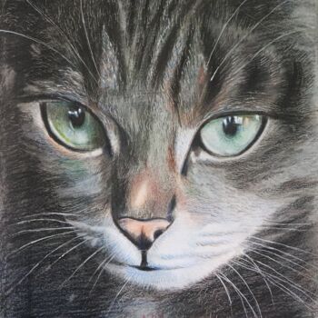 Рисунок под названием "CAT CAT mane Billi" - Kamal Raj Thakur Utsav Thakur, Подлинное произведение искусства, Карандаш