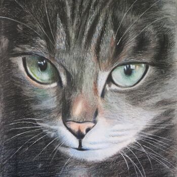 Tekening getiteld "CAT CAT mane Billi" door Kamal Raj Thakur Utsav Thakur, Origineel Kunstwerk, Potlood