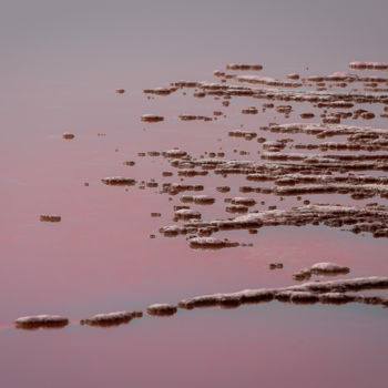 Fotografía titulada "Branches de sel" por Gerald Kapski, Obra de arte original, Fotografía no manipulada Montado en Aluminio