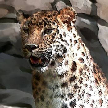 Pittura intitolato "leopard" da Karen Sheltrown, Opera d'arte originale, Olio