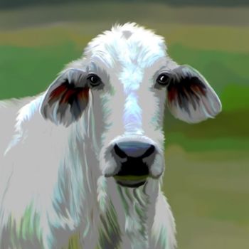 Malarstwo zatytułowany „white brahma cow” autorstwa Karen Sheltrown, Oryginalna praca, Olej
