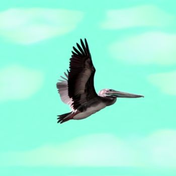 「pelican flying」というタイトルの絵画 Karen Sheltrownによって, オリジナルのアートワーク