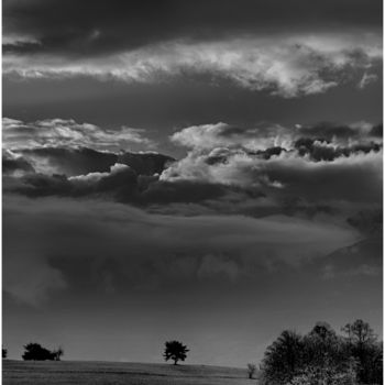 Photography titled "L'Arbre sous le sol…" by Karolus, Original Artwork