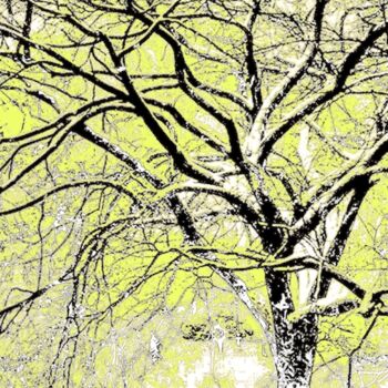 Fotografia zatytułowany „A Tree in Central P…” autorstwa Ken Lerner, Oryginalna praca, Fotografia cyfrowa
