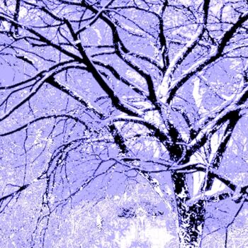 Fotografia intitolato "A Tree in Central P…" da Ken Lerner, Opera d'arte originale, Fotografia digitale