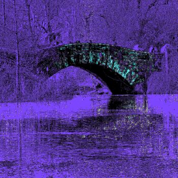 Fotografia zatytułowany „Bow Bridge Central…” autorstwa Ken Lerner, Oryginalna praca, Fotografia cyfrowa