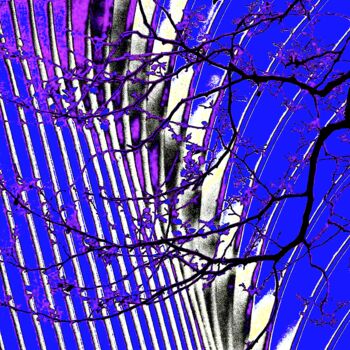 Photography titled "Oculus and Tree Bra…" by Ken Lerner, Original Artwork, Digital Photography