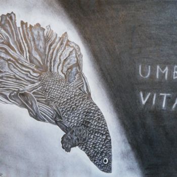 Desenho intitulada "Umbra vitae" por Kevin Schaller, Obras de arte originais, Lápis