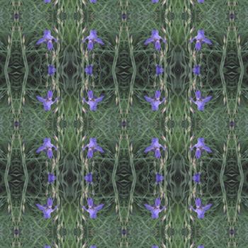 Photography titled "Irises" by Kimi Nishikawa, Original Artwork, Manipulated Photography