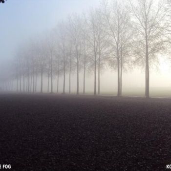 Photography titled "TREES IN THE FOG" by Koen Vlerick, Original Artwork