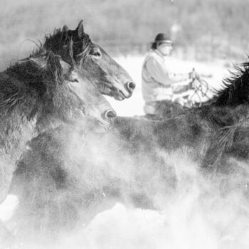 Φωτογραφία με τίτλο "Winter gallop No.6" από Marek Kopnicky, Αυθεντικά έργα τέχνης, Ψηφιακή φωτογραφία