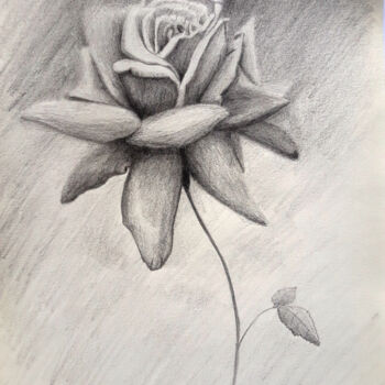 Dibujo titulada "Rose" por Krystian, Obra de arte original, Lápiz