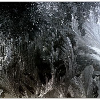 Фотография под названием "Mroz IV / Frost" - Krzysztof Lozowski, Подлинное произведение искусства