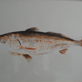 Peinture intitulée "17-grands-poissons-…" par Gustave Lafond / Stavio, Œuvre d'art originale