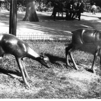 Photographie intitulée "gazelles.jpg" par Lakmos, Œuvre d'art originale