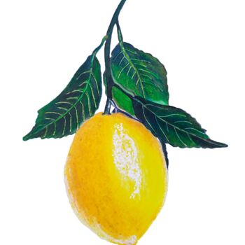 Dibujo titulada "Lemon twig" por Larisa Berzina, Obra de arte original, Lápiz