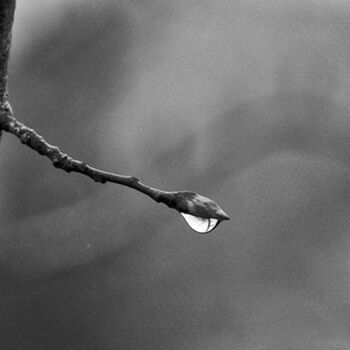 Photography titled "Après la pluie 8" by Laura Dieutegard, Original Artwork