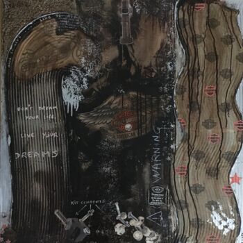Pintura titulada "WILD RIDE" por Laurence Hubswerlin Diradourian, Obra de arte original, Acrílico Montado en Bastidor de cam…