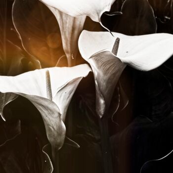 Photography titled "Arum" by Laurence Masson, Original Artwork, Digital Photography