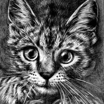 Dibujo titulada "Les griffes du chat" por Laurence Keriguy, Obra de arte original, Lápiz