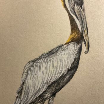 Рисунок под названием "pelican" - Lautiard, Подлинное произведение искусства, Карандаш