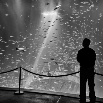 Fotografia intitolato "Das Aquarium" da Leopold Brix, Opera d'arte originale, Fotografia digitale
