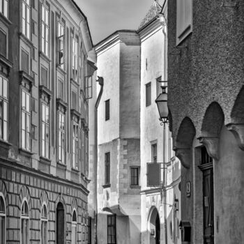 Fotografía titulada "Der Fenstergucker" por Leopold Brix, Obra de arte original, Fotografía digital