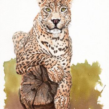 Drawing titled "Leopard auf Holzsta…" by Lilla Varhelyi, Original Artwork, Ink