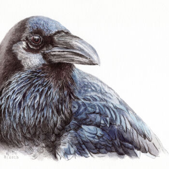 Drawing titled "Blaue Krähe" by Lilla Varhelyi, Original Artwork, Ink