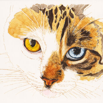 Drawing titled "Katze tricolore" by Lilla Varhelyi, Original Artwork, Ink