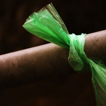 Fotografia intitolato "fiocco verde" da Lorenzo Corti, Opera d'arte originale, Fotografia digitale