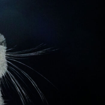 Peinture intitulée "chat.jpg" par Lou Auvray, Œuvre d'art originale