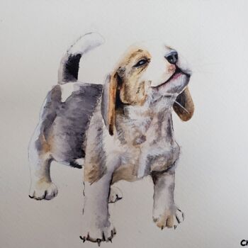 Peinture intitulée "Dog I" par Lucile Cherdo, Œuvre d'art originale, Aquarelle