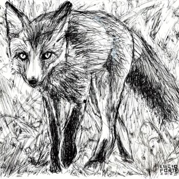 Drawing titled "Fox" by Lucio Forte, Original Artwork, Ink