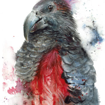 Pittura intitolato "Pesquet Parrot" da Ludmila Kolbenova, Opera d'arte originale, Acquarello