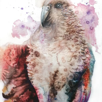 Pittura intitolato "Kea Alpine Parrot" da Ludmila Kolbenova, Opera d'arte originale, Acquarello