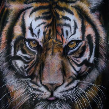 Tekening getiteld "Drawing of a tiger" door Lukman Arifin, Origineel Kunstwerk, Potlood