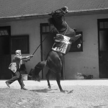 Photographie intitulée "Mal Engagé" par Luz, Œuvre d'art originale, Photographie argentique