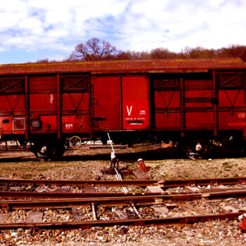 Fotografía titulada "train3.jpg" por Ly-Rose, Obra de arte original