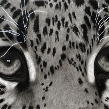 Dibujo titulada "Leopard Eyes" por Lynton Bolton, Obra de arte original, Carbón