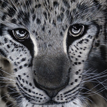 Drawing titled "Amur Leopard Portra…" by Lynton Bolton, Original Artwork, Charcoal