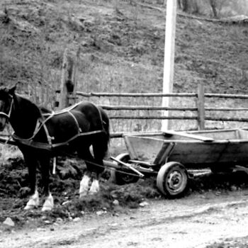 Fotografía titulada "horse and cart" por Magda Durda, Obra de arte original, Fotografía no manipulada