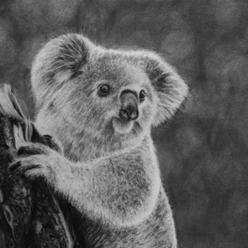 Dibujo titulada "Koala" por Magali Lapeyre-Mirande, Obra de arte original, Lápiz