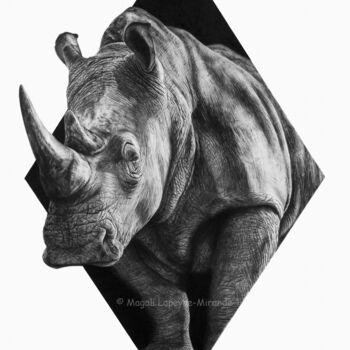 Desenho intitulada "Rhino" por Magali Lapeyre-Mirande, Obras de arte originais, Lápis