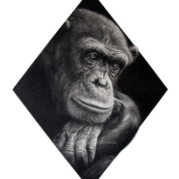 Drawing titled "Chimpanzé" by Magali Lapeyre-Mirande, Original Artwork, Pencil