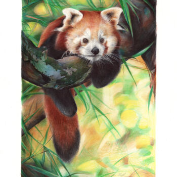 Desenho intitulada "Red Panda sleeping…" por Daria Maier, Obras de arte originais, Canetac de aerossol